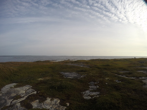 Photograph of Pinchard's Island, Newfoundland — August 31, 2017 at 8:00 AM