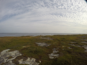 Photograph of Pinchard's Island, Newfoundland — August 31, 2017 at 9:00 AM