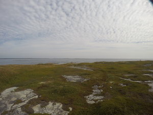 Photograph of Pinchard's Island, Newfoundland — August 31, 2017 at 10:00 AM