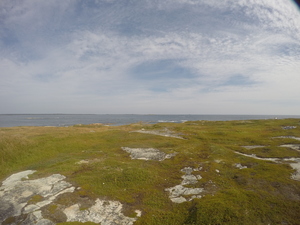 Photograph of Pinchard's Island, Newfoundland — August 31, 2017 at 11:00 AM
