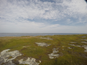 Photograph of Pinchard's Island, Newfoundland — August 31, 2017 at 12:00 PM