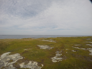 Photograph of Pinchard's Island, Newfoundland — August 31, 2017 at 1:00 PM