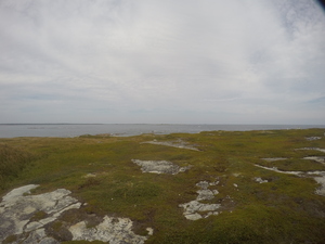 Photograph of Pinchard's Island, Newfoundland — August 31, 2017 at 2:00 PM
