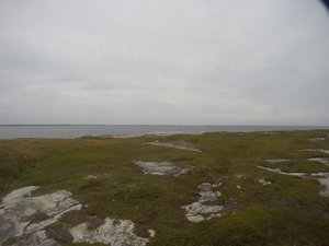 Photograph of Pinchard's Island, Newfoundland — August 31, 2017 at 3:00 PM