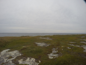 Photograph of Pinchard's Island, Newfoundland — August 31, 2017 at 4:00 PM