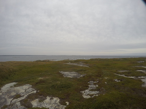 Photograph of Pinchard's Island, Newfoundland — August 31, 2017 at 5:00 PM