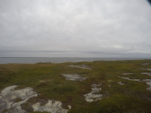 Photograph of Pinchard's Island, Newfoundland — August 31, 2017 at 6:00 PM