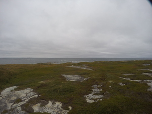 Photograph of Pinchard's Island, Newfoundland — August 31, 2017 at 7:00 PM