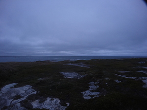 Photograph of Pinchard's Island, Newfoundland — August 31, 2017 at 8:00 PM