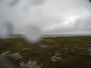 Photograph of Pinchard's Island, Newfoundland — September 1, 2017 at 7:59 AM