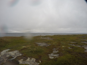 Photograph of Pinchard's Island, Newfoundland — September 1, 2017 at 9:00 AM