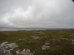 Photograph of Pinchard's Island, Newfoundland — September 1, 2017 at 10:00 AM