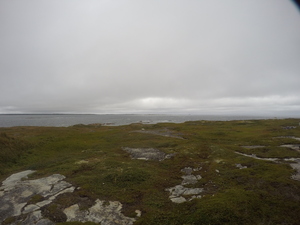 Photograph of Pinchard's Island, Newfoundland — September 1, 2017 at 11:00 AM