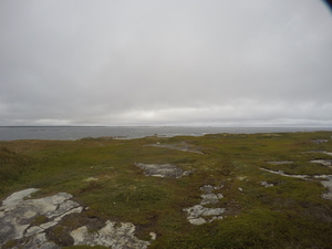Photograph of Pinchard's Island, Newfoundland — September 1, 2017 at 12:00 PM