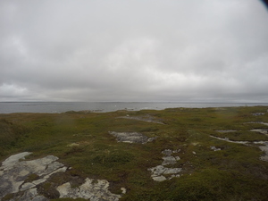 Photograph of Pinchard's Island, Newfoundland — September 1, 2017 at 1:00 PM