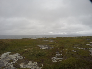 Photograph of Pinchard's Island, Newfoundland — September 1, 2017 at 2:00 PM