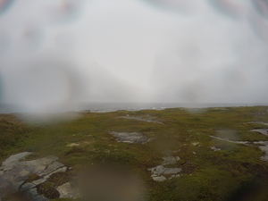 Photograph of Pinchard's Island, Newfoundland — September 1, 2017 at 3:00 PM