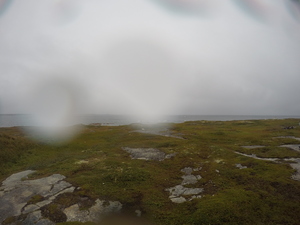 Photograph of Pinchard's Island, Newfoundland — September 1, 2017 at 4:00 PM
