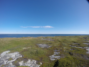 Photograph of Pinchard's Island, Newfoundland — September 2, 2017 at 10:00 AM