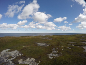 Photograph of Pinchard's Island, Newfoundland — September 2, 2017 at 11:00 AM