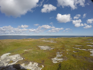 Photograph of Pinchard's Island, Newfoundland — September 2, 2017 at 12:00 PM