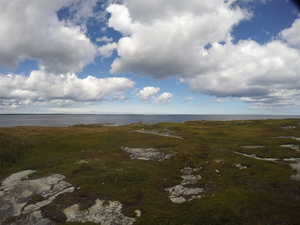 Photograph of Pinchard's Island, Newfoundland — September 2, 2017 at 2:00 PM