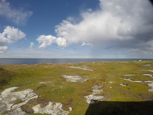 Photograph of Pinchard's Island, Newfoundland — September 2, 2017 at 3:00 PM
