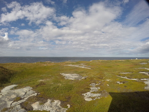 Photograph of Pinchard's Island, Newfoundland — September 2, 2017 at 4:00 PM