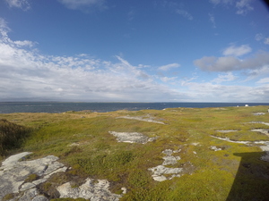Photograph of Pinchard's Island, Newfoundland — September 2, 2017 at 5:00 PM