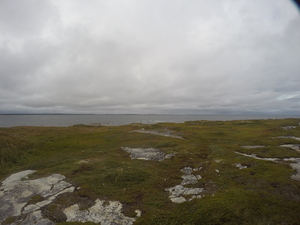 Photograph of Pinchard's Island, Newfoundland — September 2, 2017 at 6:00 PM