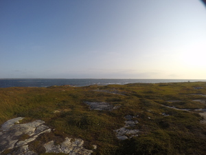 Photograph of Pinchard's Island, Newfoundland — September 3, 2017 at 8:00 AM