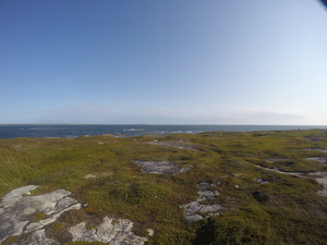 Photograph of Pinchard's Island, Newfoundland — September 3, 2017 at 9:00 AM