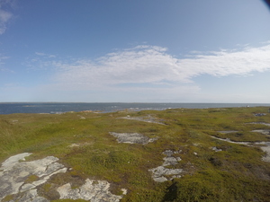 Photograph of Pinchard's Island, Newfoundland — September 3, 2017 at 10:00 AM