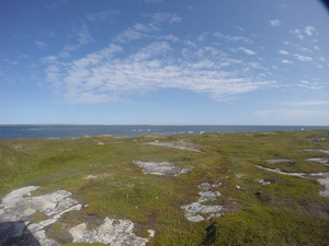 Photograph of Pinchard's Island, Newfoundland — September 3, 2017 at 11:00 AM