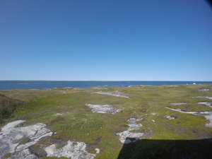 Photograph of Pinchard's Island, Newfoundland — September 3, 2017 at 3:00 PM