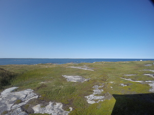 Photograph of Pinchard's Island, Newfoundland — September 3, 2017 at 4:00 PM