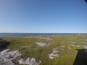 Photograph of Pinchard's Island, Newfoundland — September 3, 2017 at 5:00 PM