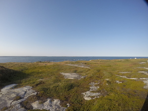 Photograph of Pinchard's Island, Newfoundland — September 3, 2017 at 6:00 PM