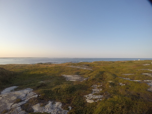 Photograph of Pinchard's Island, Newfoundland — September 3, 2017 at 7:00 PM