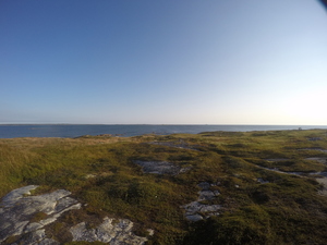 Photograph of Pinchard's Island, Newfoundland — September 4, 2017 at 8:00 AM