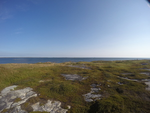 Photograph of Pinchard's Island, Newfoundland — September 4, 2017 at 9:00 AM
