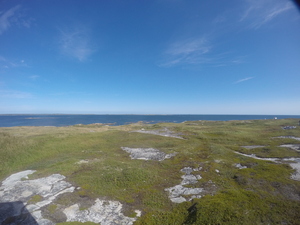 Photograph of Pinchard's Island, Newfoundland — September 4, 2017 at 11:00 AM