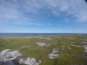 Photograph of Pinchard's Island, Newfoundland — September 4, 2017 at 12:00 PM