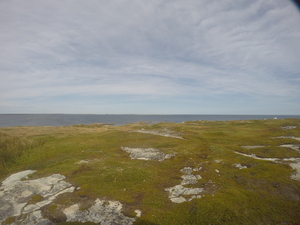 Photograph of Pinchard's Island, Newfoundland — September 4, 2017 at 1:00 PM
