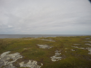 Photograph of Pinchard's Island, Newfoundland — September 4, 2017 at 2:00 PM