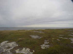 Photograph of Pinchard's Island, Newfoundland — September 4, 2017 at 3:00 PM