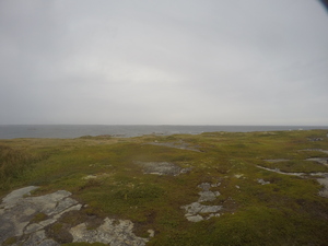 Photograph of Pinchard's Island, Newfoundland — September 4, 2017 at 4:00 PM