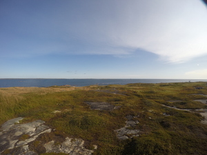 Photograph of Pinchard's Island, Newfoundland — September 5, 2017 at 9:00 AM