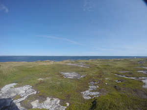 Photograph of Pinchard's Island, Newfoundland — September 5, 2017 at 11:00 AM