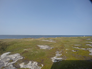 Photograph of Pinchard's Island, Newfoundland — September 5, 2017 at 3:00 PM
